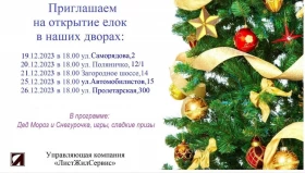 Открытие новогодней елки в ЖК “Березовые аллеи”