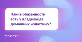 Какие обязанности есть у владельцев домашних животных